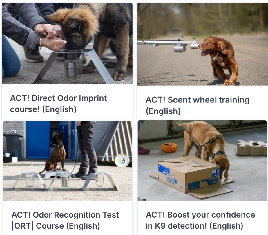 Simon Prins ACT! Online Courses: Elevating Detection Dog Training for All Levels