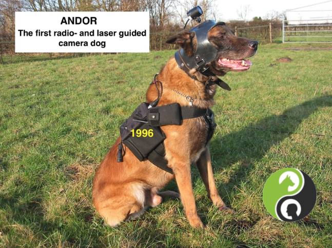 Camera dogs in operational work: training, failure, persistence, and what the field really teaches you