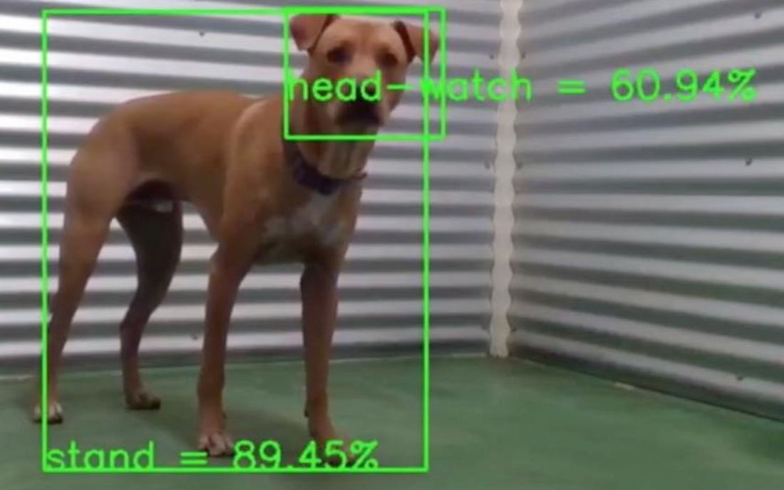 Are you ready for what’s coming? The future of K9 training Is here.