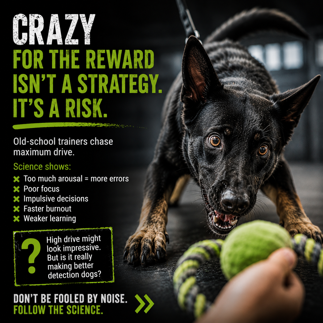 Rethinking the selection and training of detection dogs