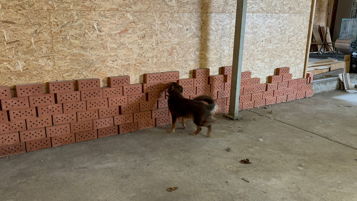 Why I question the brick wall hype in detection dog training