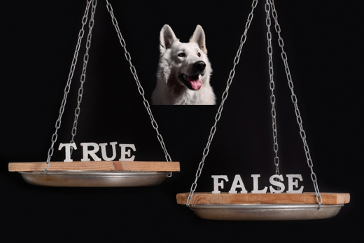 Pseudoscience in dog training
