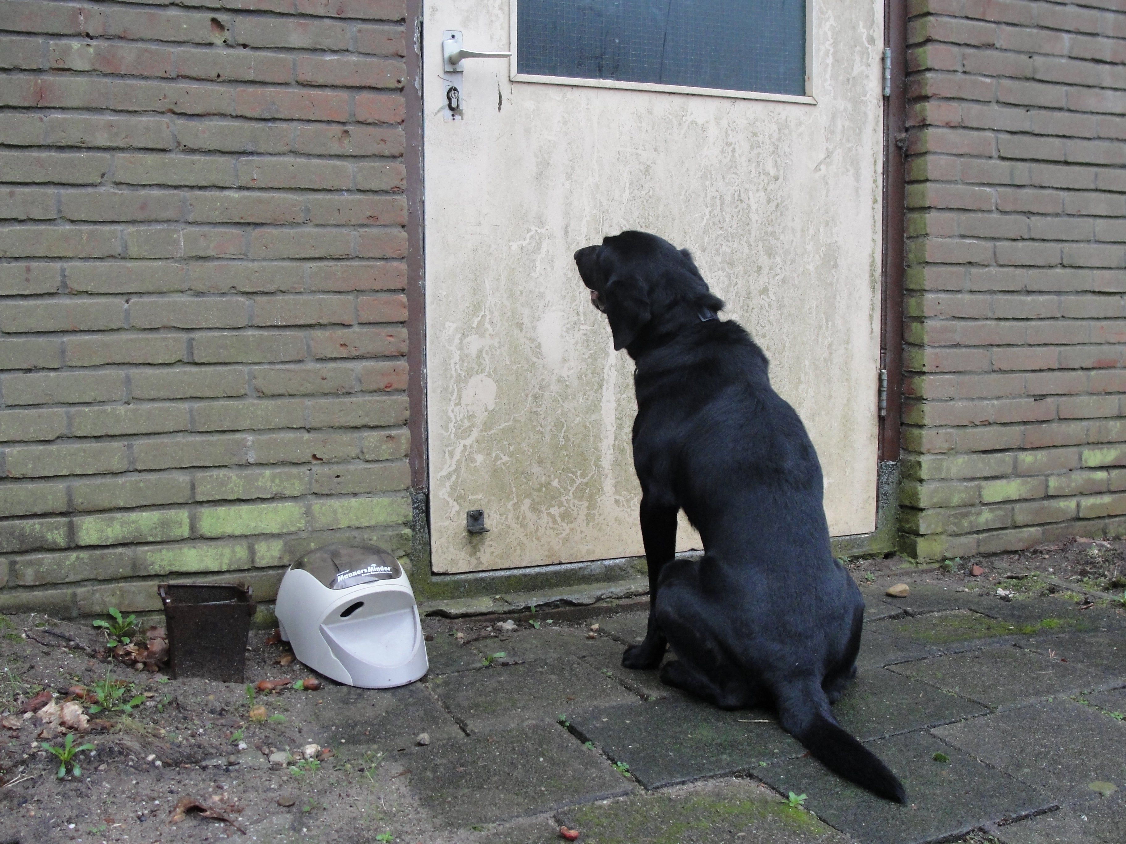 Feeders and ball machines