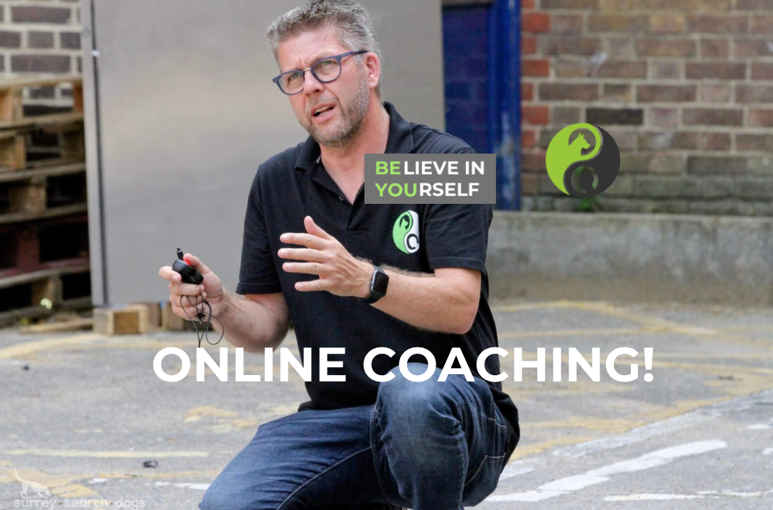 ACT! Online coaching