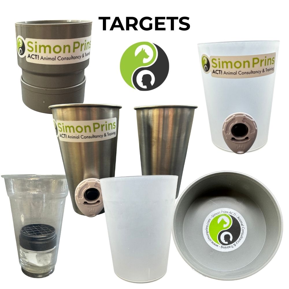 Targets for detection and focus