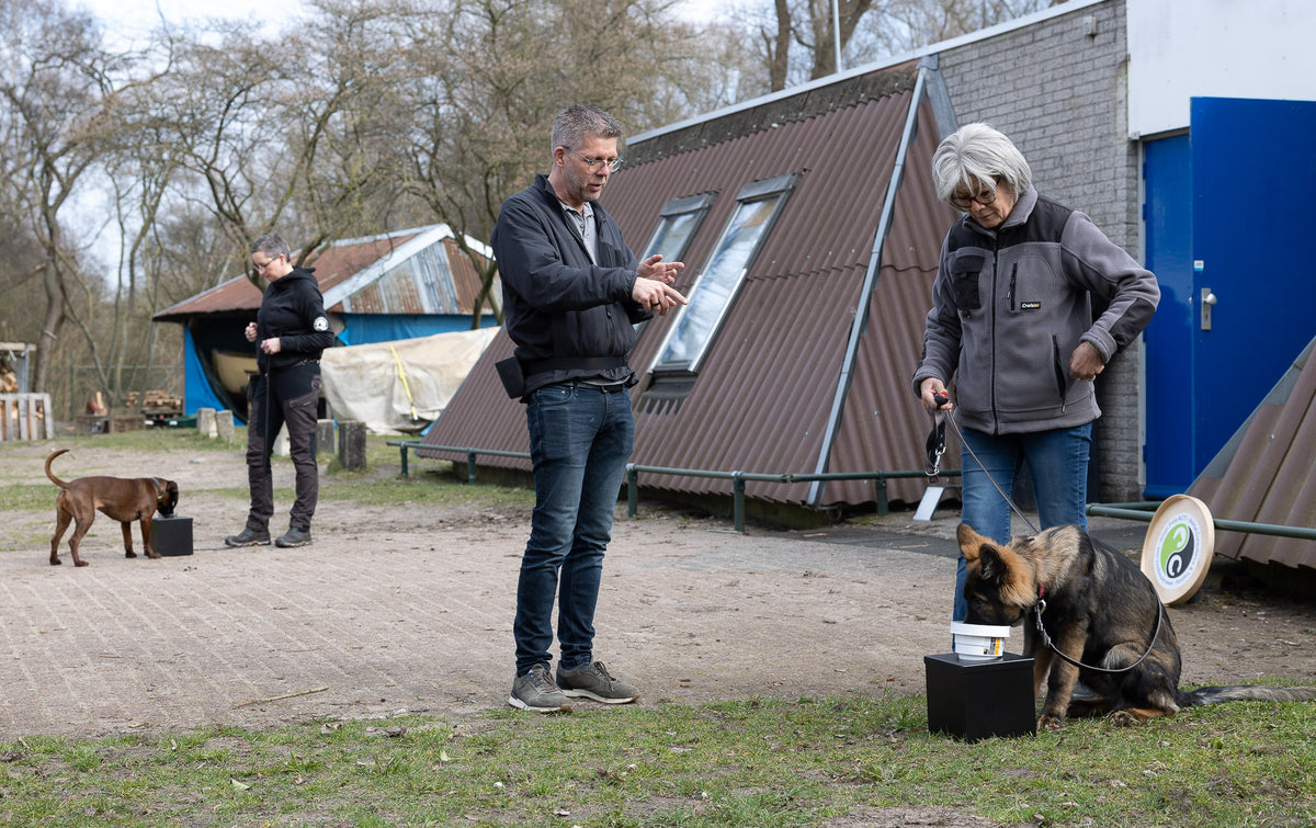 Private detection dog consultation with Simon Prins