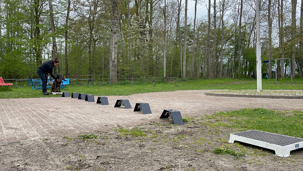 Online course -Odor Recognition Test (ORT) (English)