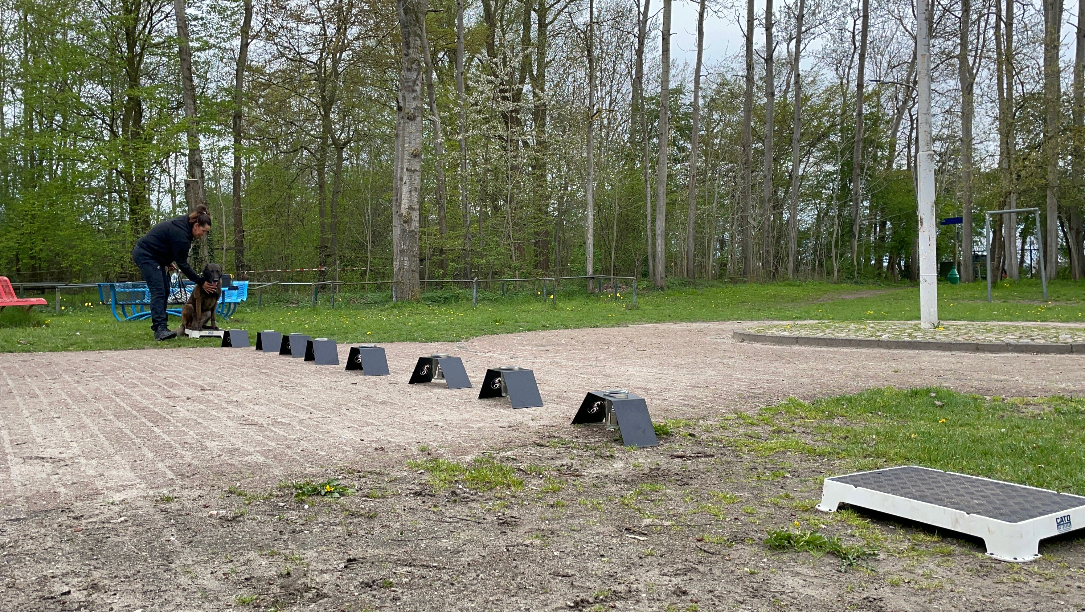 Online course -Odor Recognition Test (ORT) (English)