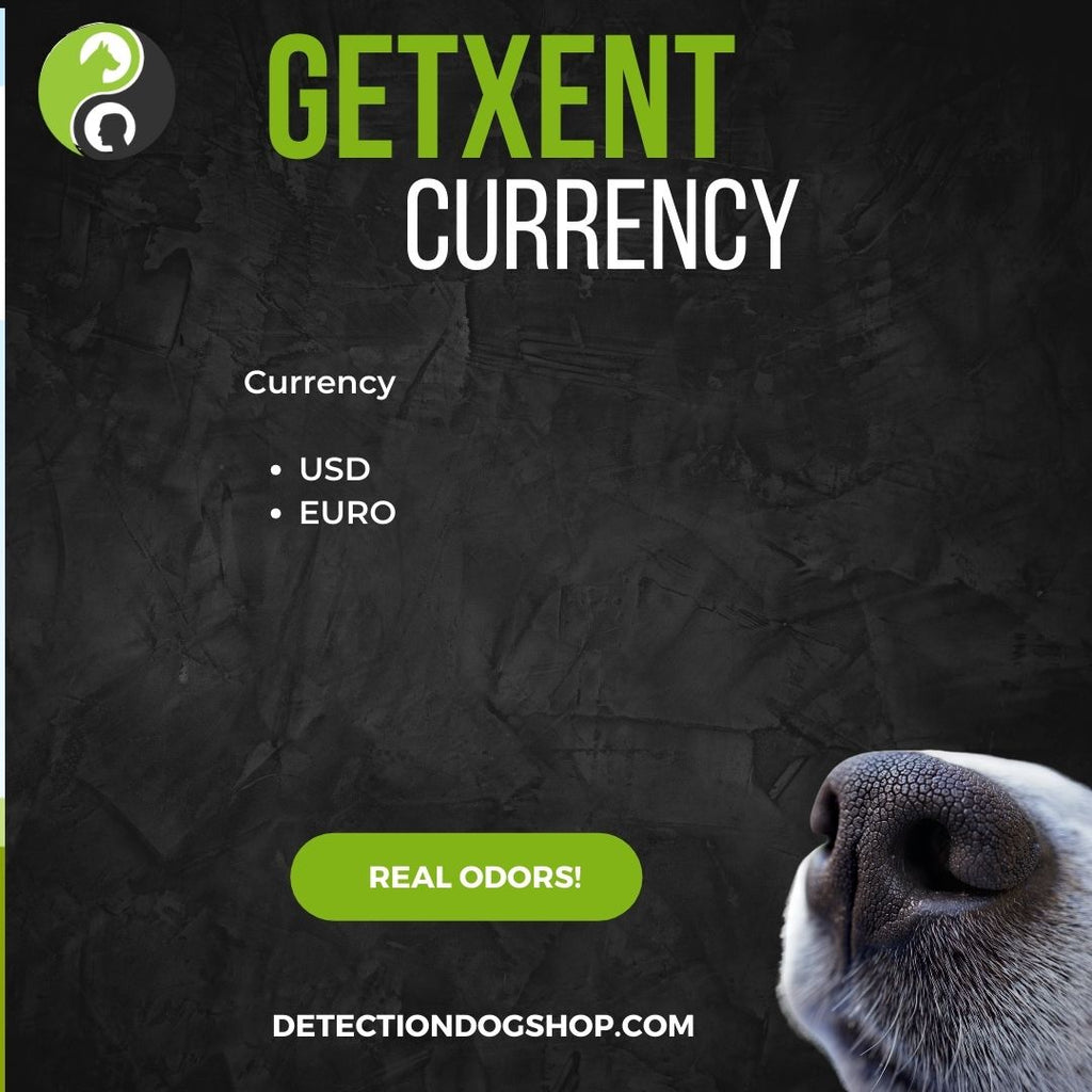 Tubes GetXent (sachet de 10 tubes) imprégnés de argent