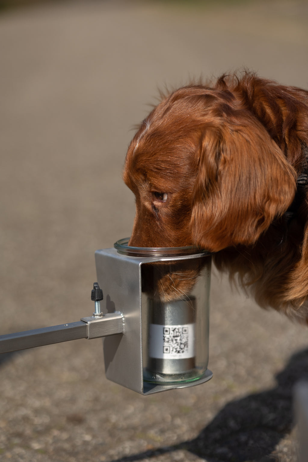 ACT! Scent wheel training (Nederlands)