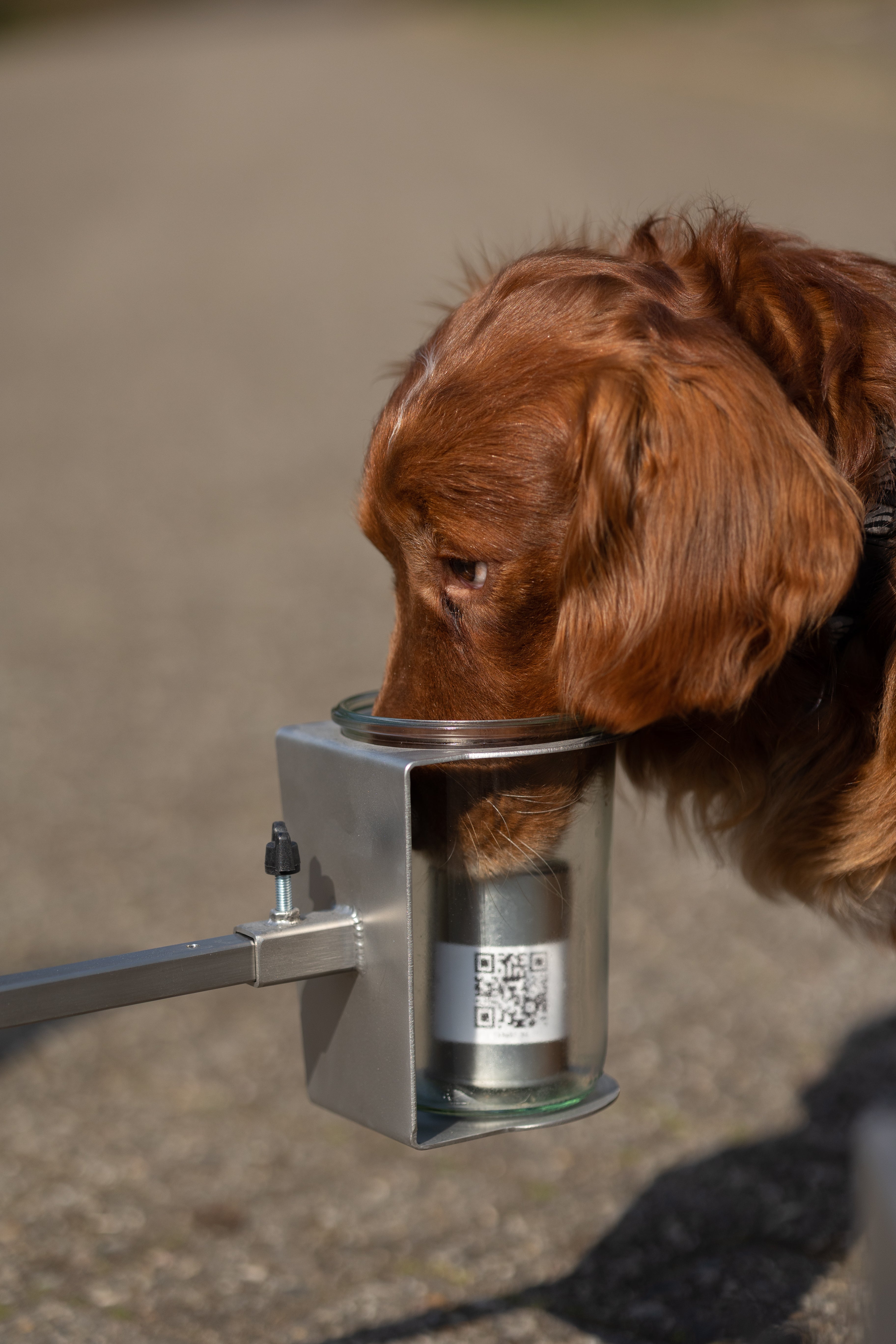 ACT! Scent wheel training (Nederlands)