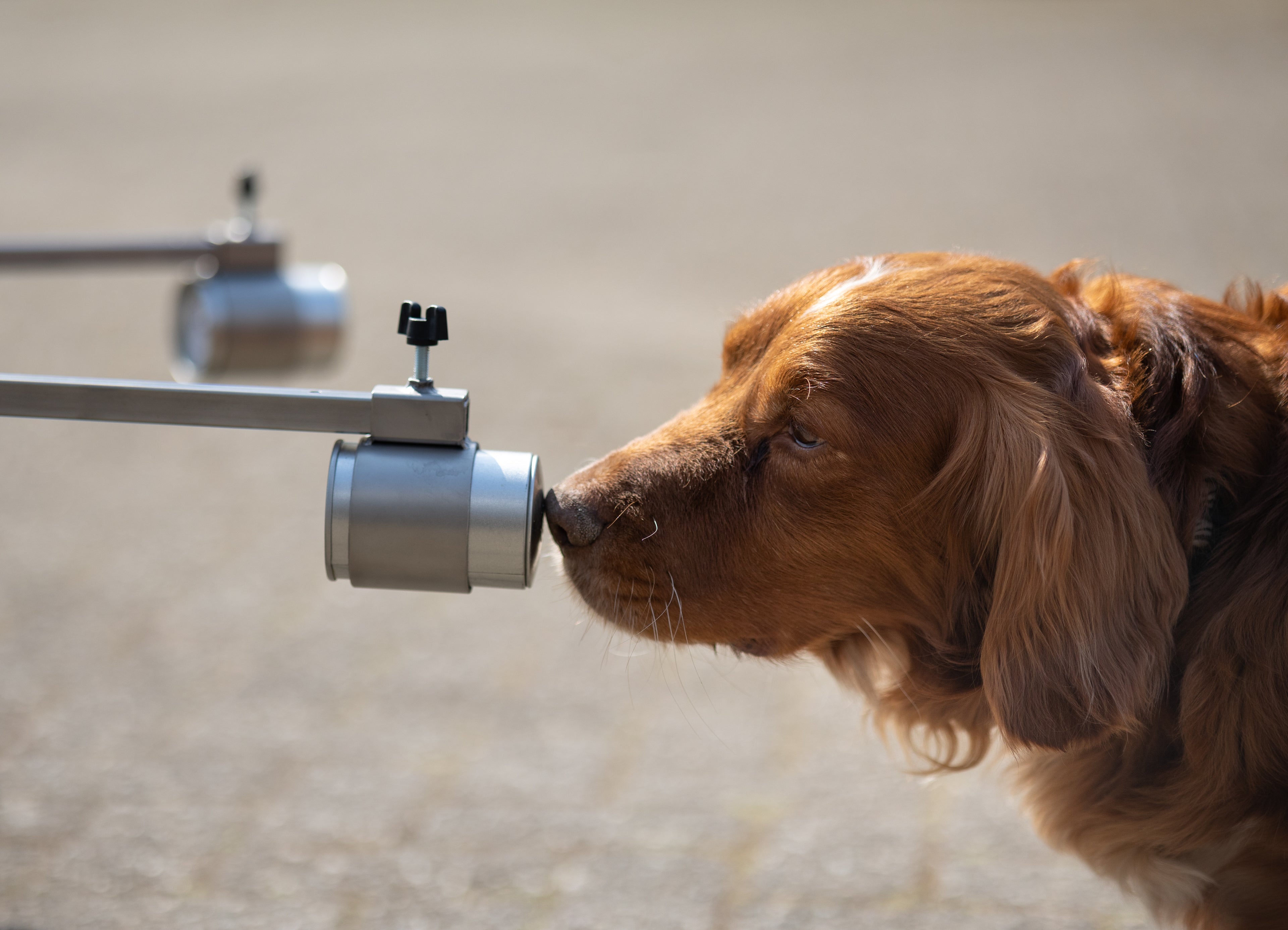 ACTE! Scent wheel™ inox pliable 12 bras