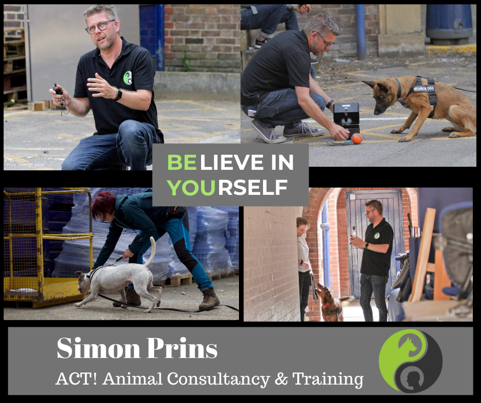 Private detection dog consultation with Simon Prins