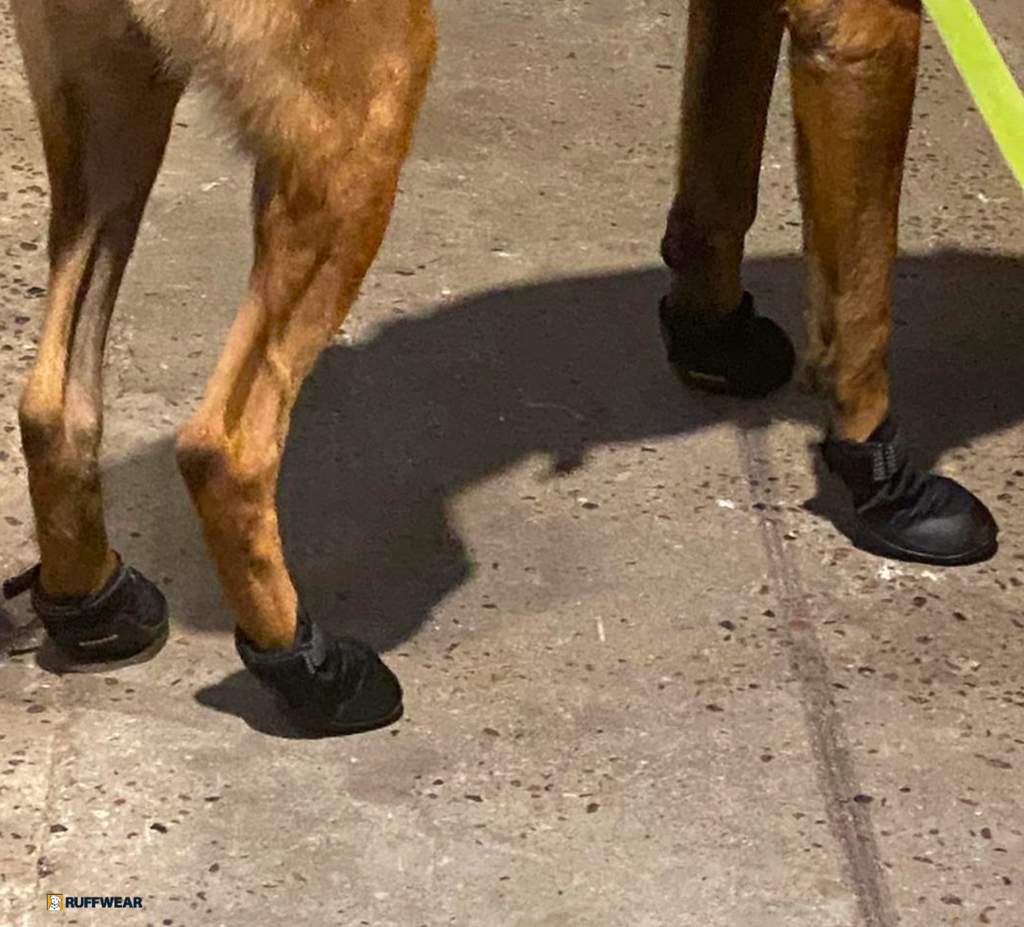K9 Professional working boots