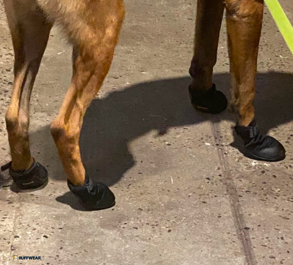 K9 Professional working boots