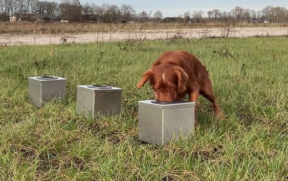 ACT! Direct Odor Imprint Cursus DOI (Nederlands)