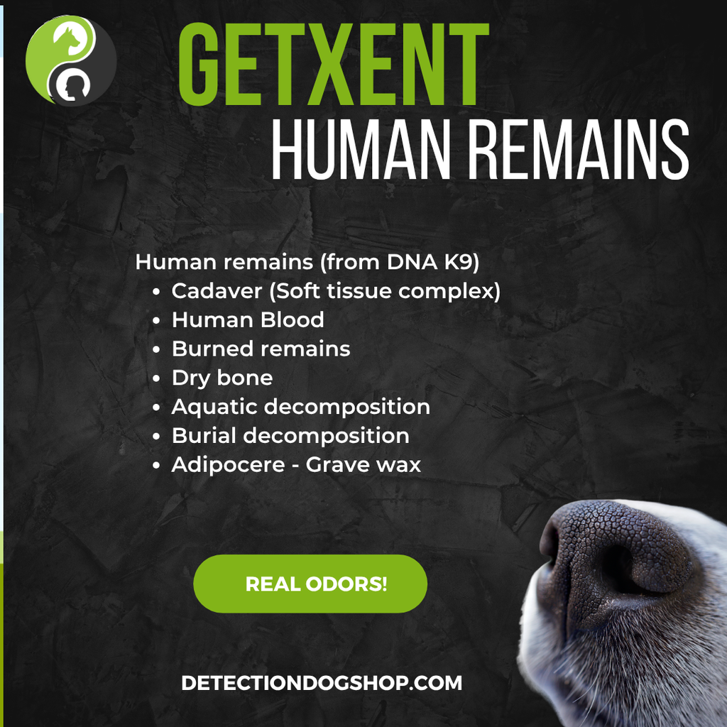 GetXent HUMAN REMAINS (10 tubes) de DNA K9 (délai de livraison : 4 à 6 semaines)