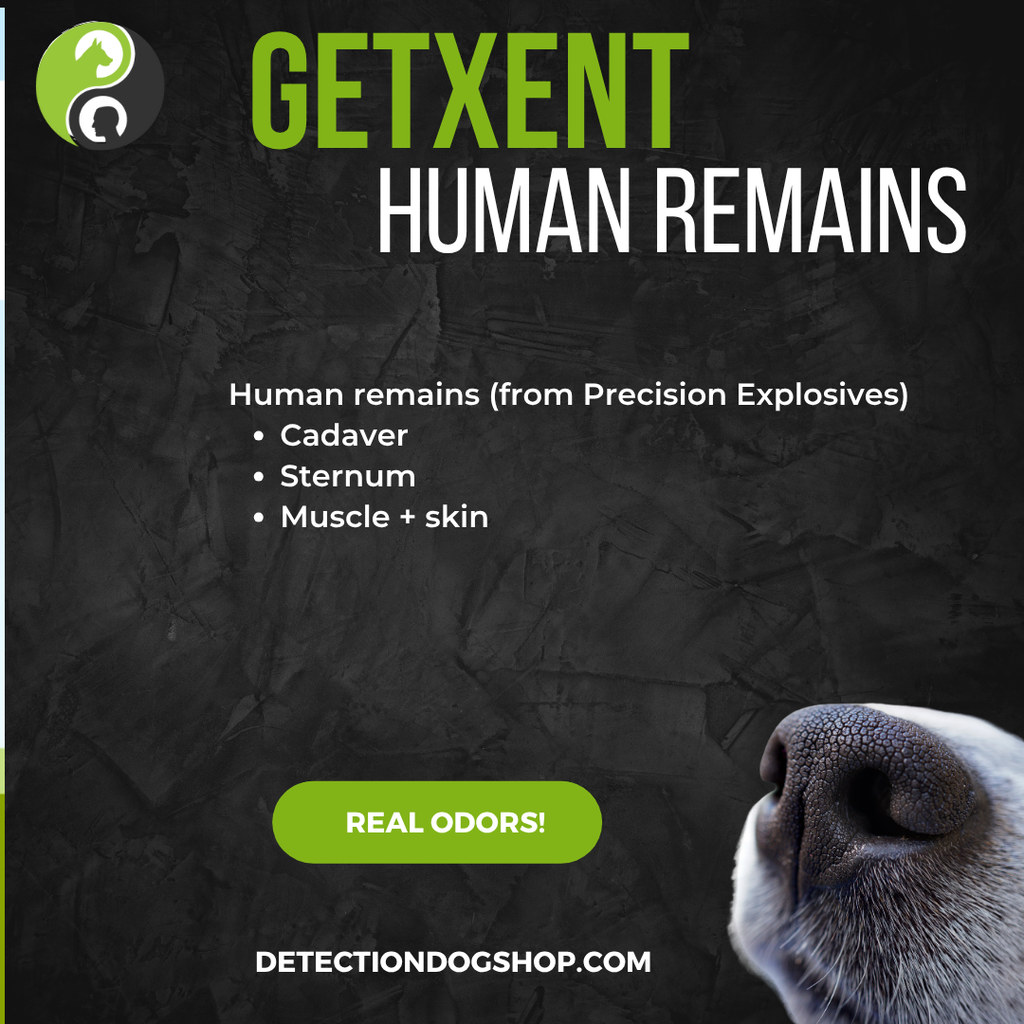 GetXent HUMAN REMAINS (10 tubes)  (délai de livraison : 4 à 6 semaines)