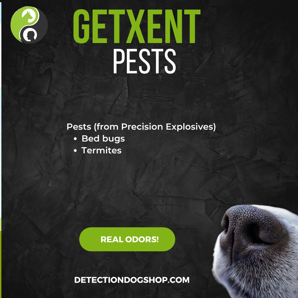 Tubes GetXent (sachet de 10 tubes) imprégnés de Pests