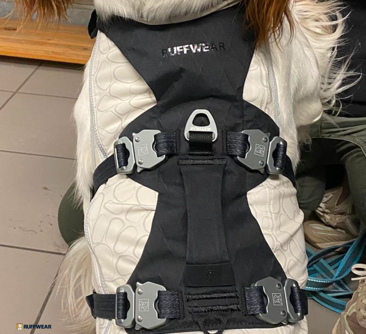 K9 Professional working harness