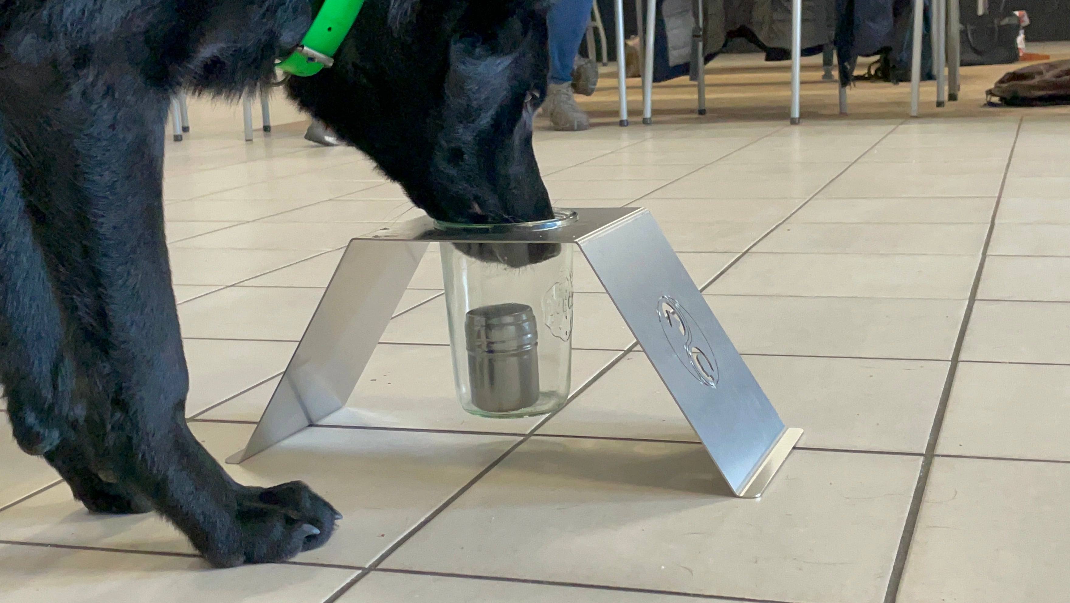 Online course  Direct Odor Imprint course! (English)