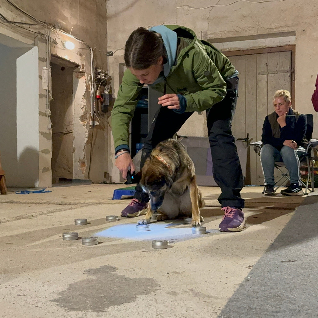 ACT! Result Tracker Method (RTM) © für doppelblindes Detektionstraining!