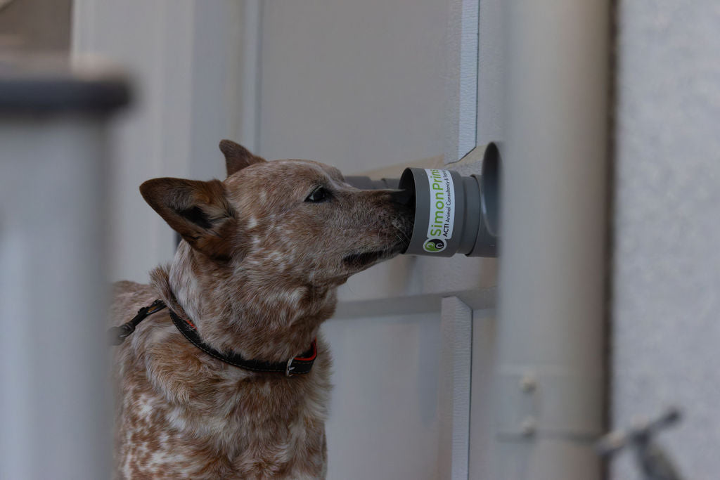 ACTE! Système d'entraînement multi-cibles ™ (MTTS)