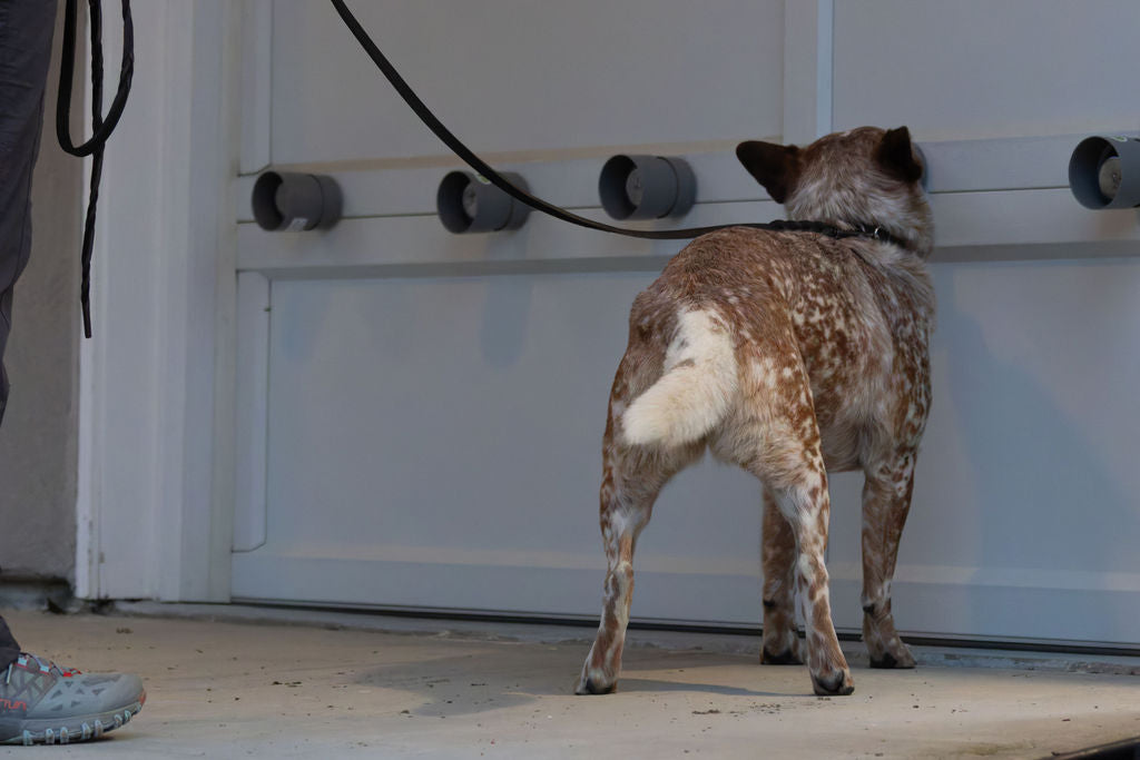 ACTE! Système d'entraînement multi-cibles ™ (MTTS)