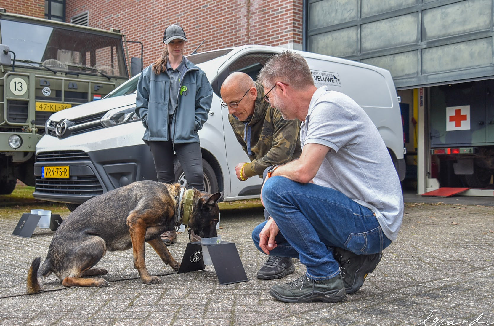 Online course  Direct Odor Imprint course! (English)