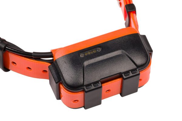 Formation à distance 'communication par la voix'