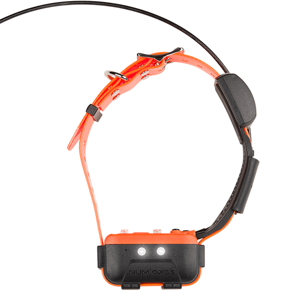 Formation à distance 'communication par la voix'