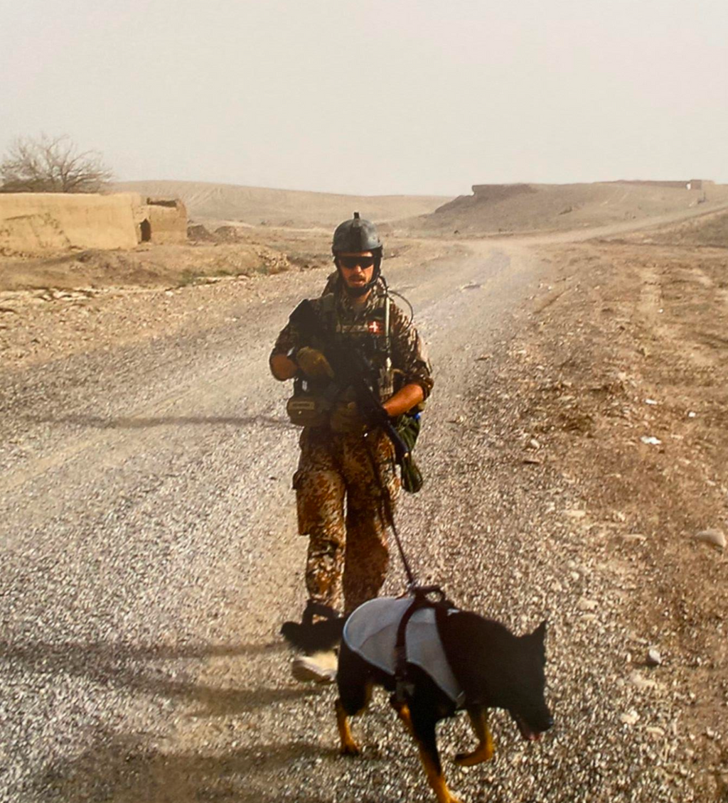 K9 Professional working dog complete kit