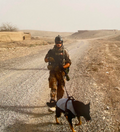 K9 Professional working dog complete kit