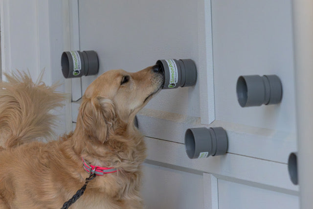 ACTE! Système d'entraînement multi-cibles ™ (MTTS)