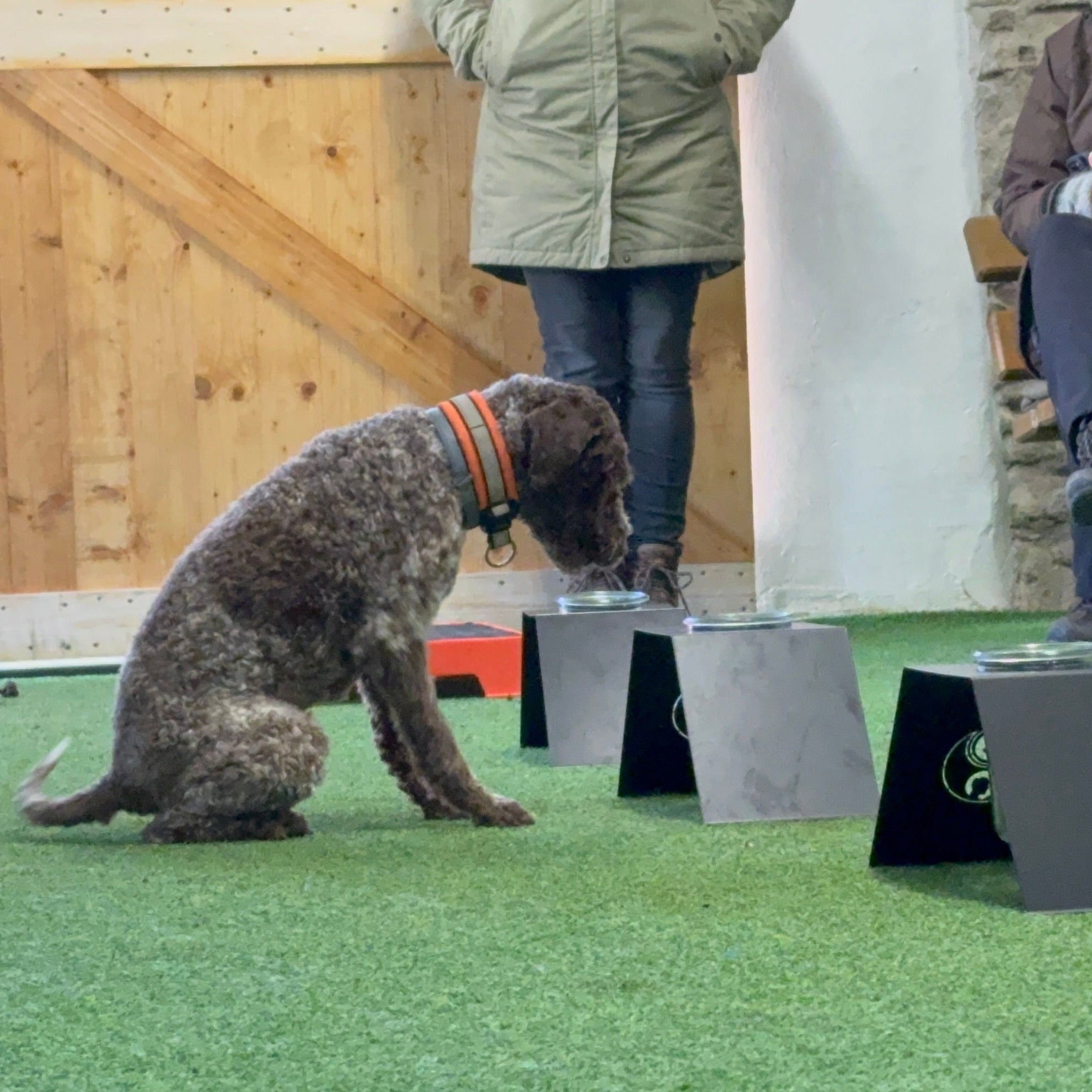 ACT Geruchsabdruck &amp; ORT-Set ™ (OI-ORT)