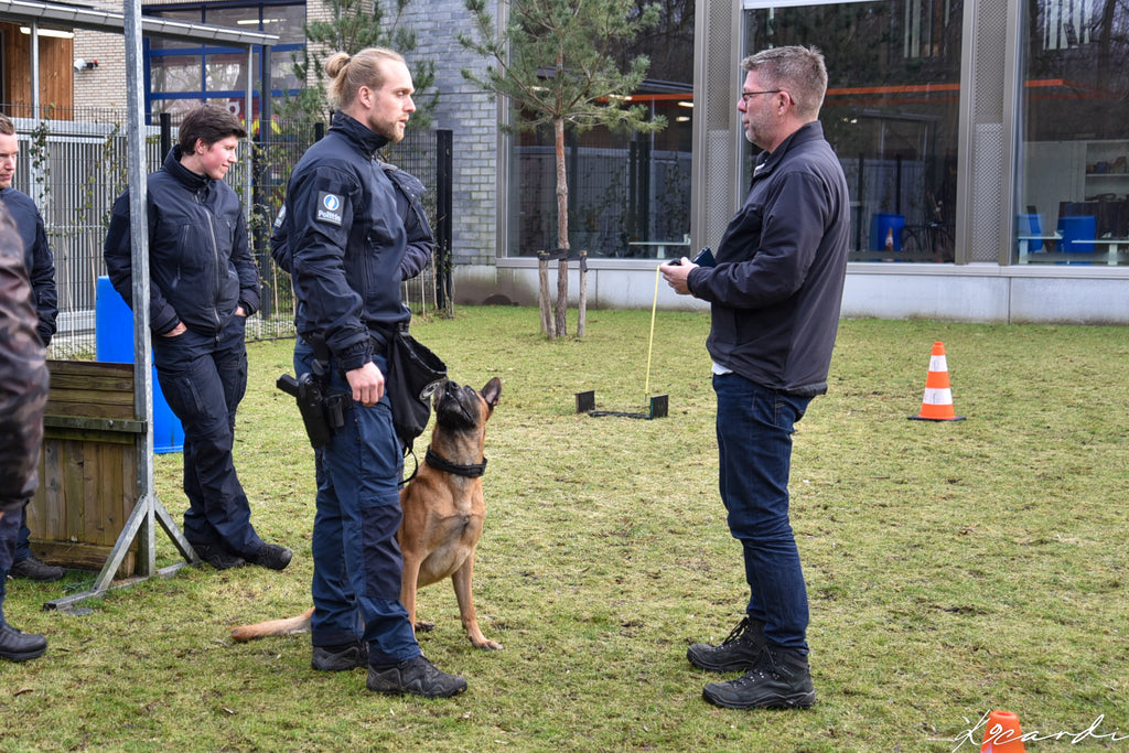 Private detection dog consultation with Simon Prins