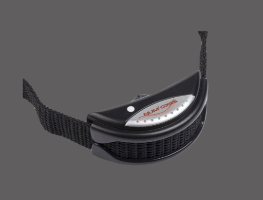 Ultrasonic bark control CANICALM