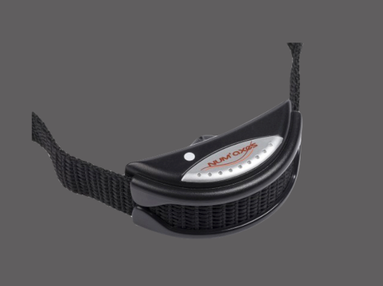 Ultrasonic bark control CANICALM