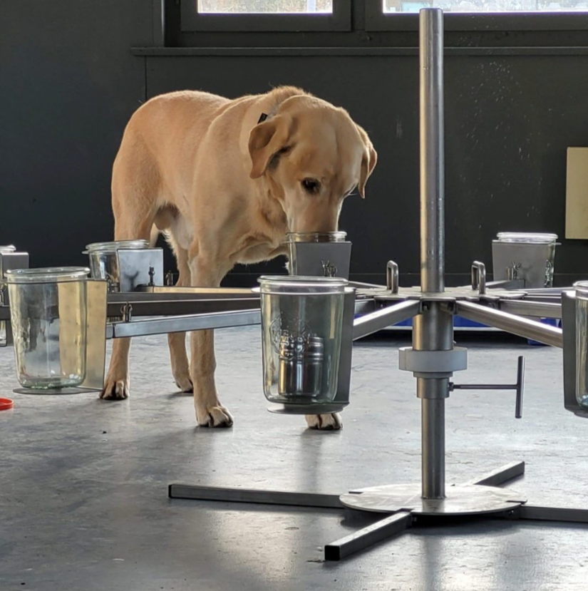 ACTE! Scent wheel™ inox pliable 8 bras