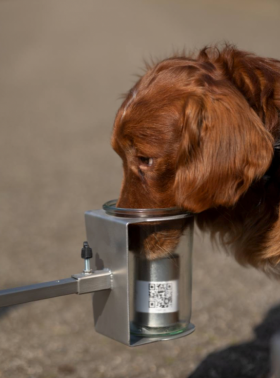 ACTE! Scent wheel™ inox pliable 8 bras