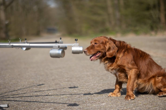 ACTE! Scent wheel™ inox pliable 12 bras