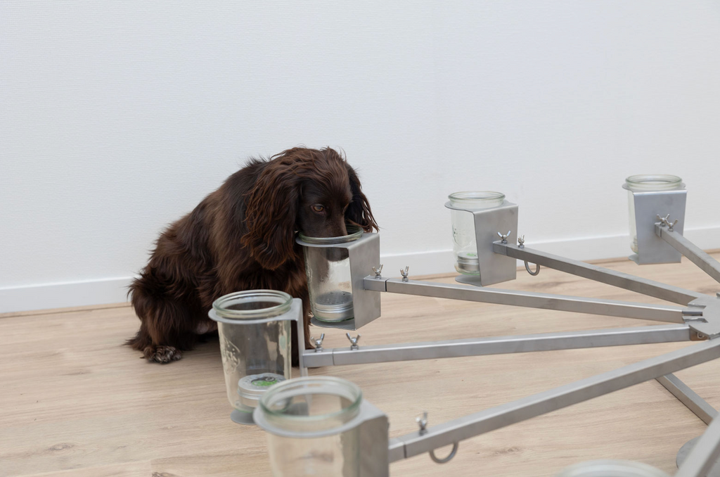 ACT! Scent wheel training (Nederlands)