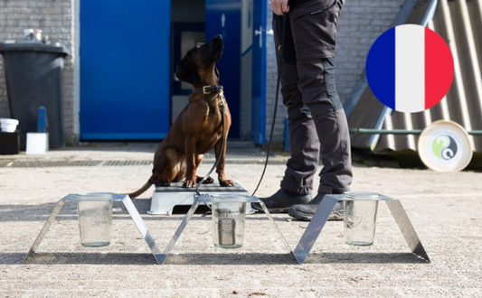 ACT! Course sur le test de reconnaissance des odeurs (FR)