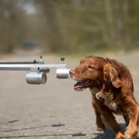 ACT! Scent wheel training (Nederlands)