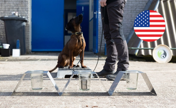 Online course -Odor Recognition Test (ORT) (English)