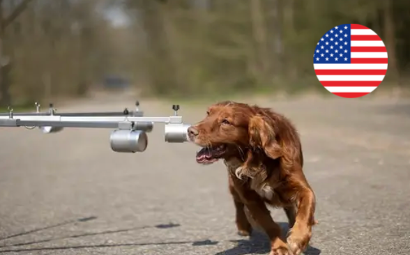 Online course Scent wheel training (English)