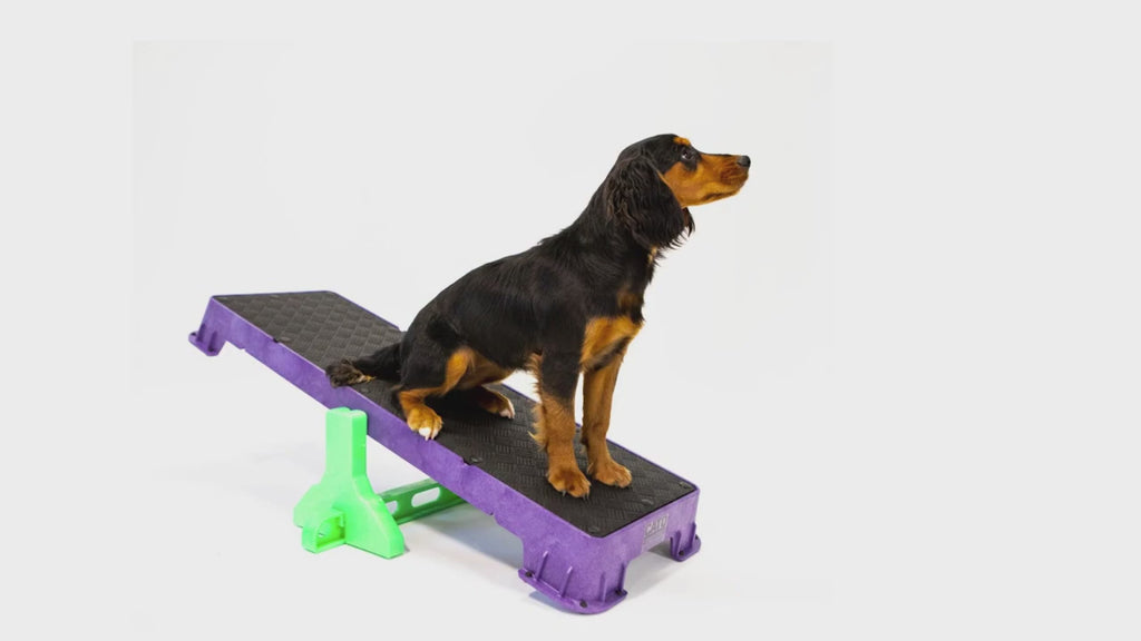 Planche Cato XL (planches longues)