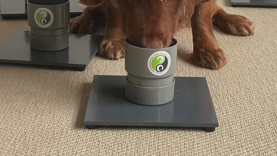 ACTE! Système d'entraînement multi-cibles ™ (MTTS)