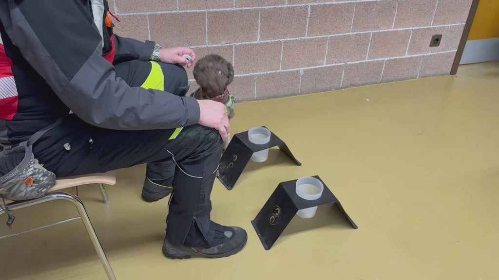 Online course  Direct Odor Imprint course! (English)