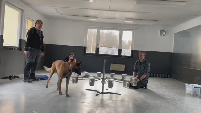 Online course Scent wheel training (English)